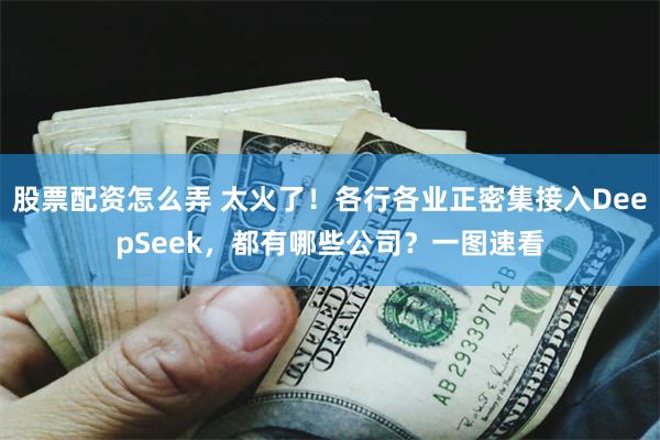 股票配资怎么弄 太火了！各行各业正密集接入DeepSeek，都有哪些公司？一图速看