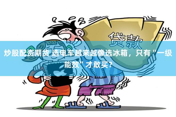 炒股配资期货 选电车越来越像选冰箱，只有“一级能效”才敢买？