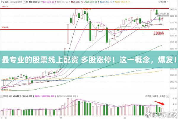 最专业的股票线上配资 多股涨停！这一概念，爆发！