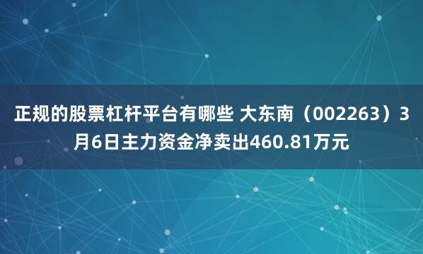 正规的股票杠杆平台有哪些 大东南（002263）3月6日主力资金净卖出460.81万元