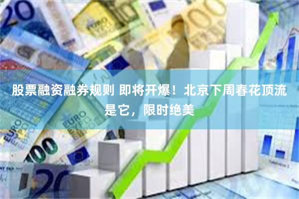 股票融资融券规则 即将开爆！北京下周春花顶流是它，限时绝美