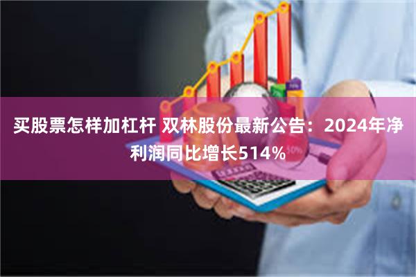 买股票怎样加杠杆 双林股份最新公告：2024年净利润同比增长514%