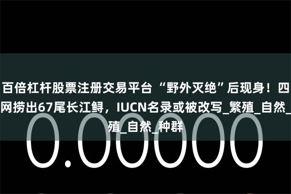 百倍杠杆股票注册交易平台 “野外灭绝”后现身！四川一网捞出67尾长江鲟，IUCN名录或被改写_繁殖_自然_种群