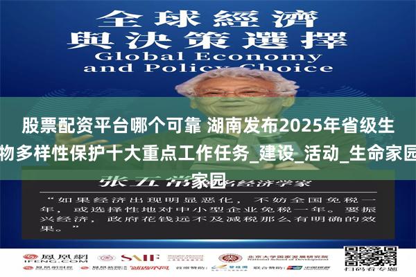 股票配资平台哪个可靠 湖南发布2025年省级生物多样性保护十大重点工作任务_建设_活动_生命家园