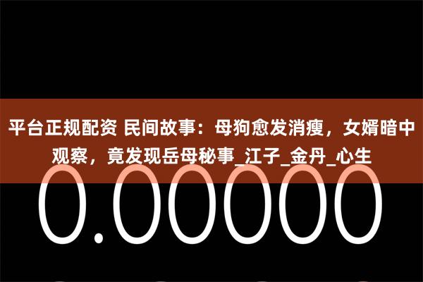 平台正规配资 民间故事：母狗愈发消瘦，女婿暗中观察，竟发现岳母秘事_江子_金丹_心生