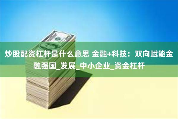 炒股配资杠杆是什么意思 金融+科技：双向赋能金融强国_发展_中小企业_资金杠杆