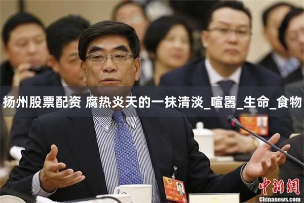 扬州股票配资 腐热炎天的一抹清淡_喧嚣_生命_食物